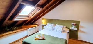 Casa Florenta G4 - Cangas de Onís - 8