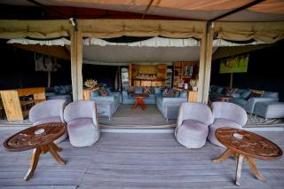 Pamoja Serengeti Luxury Camp - Serengeti - 1