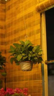 Vietnam Travelers Home 1 with Cozy Private Balcony - Hanoi - 1