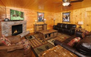 Wild Bear Lodge - Sevierville - 6