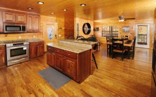 Wild Bear Lodge - Sevierville - 1