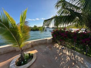 Mangrove Lounge Villa - 1