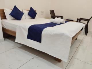 Hotel Bhavya Palace - Udaipur - 8