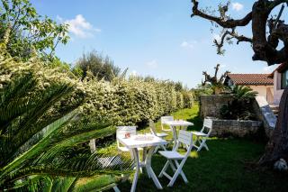 Villa Dragonfly by BarbarHouse - Castellana Grotte - 8