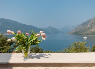 Villa Milica - 6
