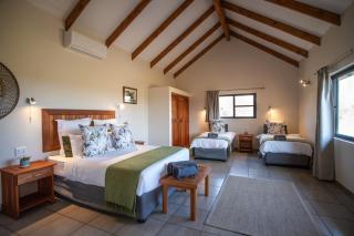Tshukudu Bush Camp - - 1