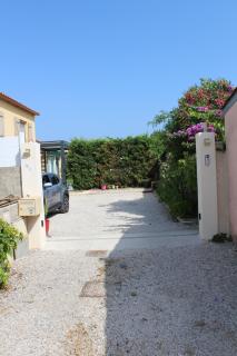 Les 1000 Vignes - Frontignan - 0