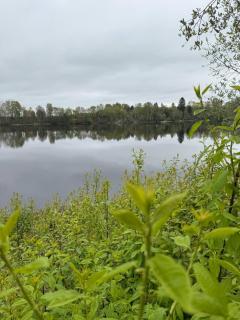 Boende på älvtomt - 1