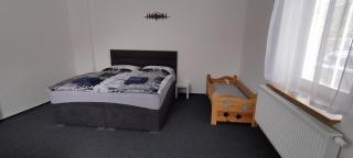 Apartmán pod lesem - - 5