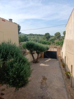 La Pallissa 9 - Torroella de Montgrí - 2