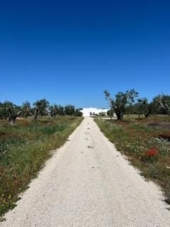 Trullo La Rosmarina - 9