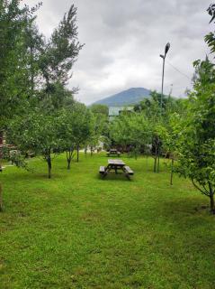 Sadiq Feyzullayev - İsmayıllı - 3