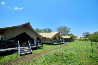 Pamoja Serengeti Luxury Camp - Serengeti - 7