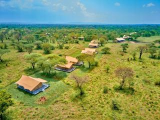 Pamoja Serengeti Luxury Camp - Serengeti - 8