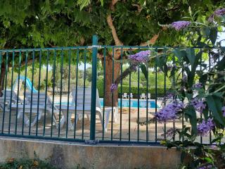 camping le pontet - Saint-Martin-dʼArdèche - 1