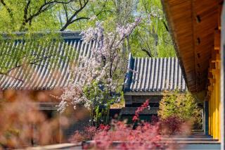 YiPiao Courtyard Hot Spring Resort Xiaotang Resot Xiaotangshan Beijing - Peking - 8