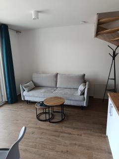 Apartamenty Allan - Pustkowo - 6