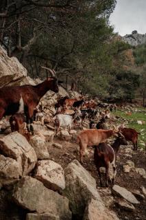 Parcel Tiny House Regagnas- au pied de la Sainte Victoire - 6