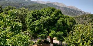 Akamatis Giorgos - 8