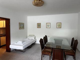 Seeglanz-Apartment IStayUnixI Seenähe-Terrasse-Netflix - Öhningen - 8