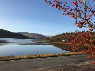 Luxury cottage in Strontian - Strontian - 7