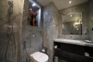 Hotel Seven Stone Bhilwara - Bhilwara - 5