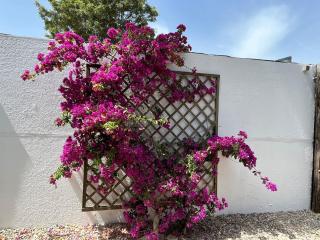 La Cabaña del Lago - Sanlúcar de Barrameda - 2