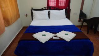 Baga Apartments Goa - Calangute - 1