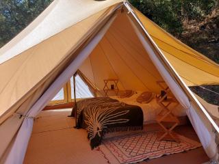 Glamping Luz Olive - 4