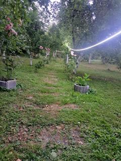Garden- pool apartman - - 2