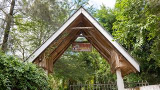 Vijiji Center Lodge and Safari - Arusha - 6