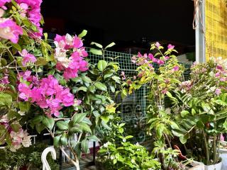 Vietnam Travelers Home 1 with Cozy Private Balcony - Hanoi - 9