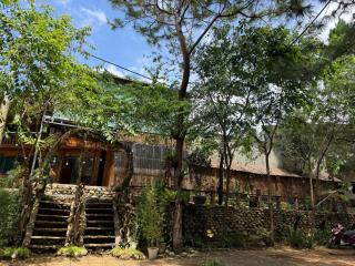Thanh Bình Homestay Măng Đen 47 Trường Chinh - Kon Tum - 9