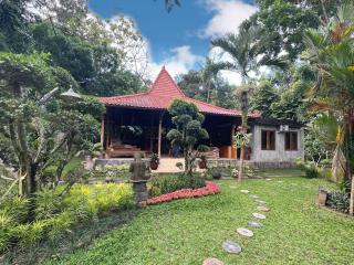 Dream Village Jogja - Jarakan - 5