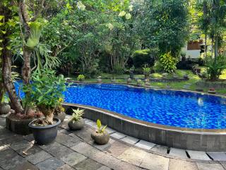 Dream Village Jogja - Jarakan - 1