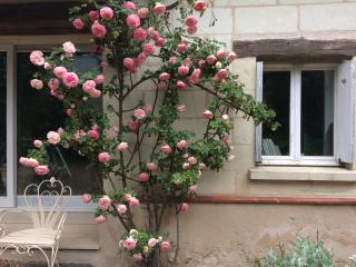 Une Maison, Un Jardin - Berthenay - 5
