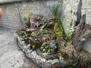 Apartmani Sumska Kraljica - - 6