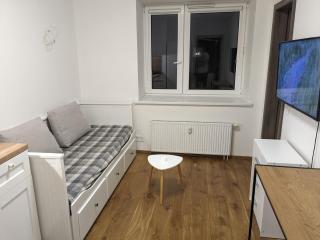 Small studio in Vilnius - Vilnius - 3