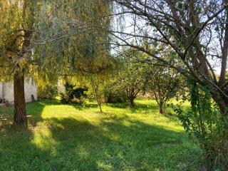 Une Maison, Un Jardin - Berthenay - 9