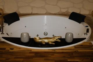 Loveroom&Spa Dreamroom - Tournon-sur-Rhône - 9