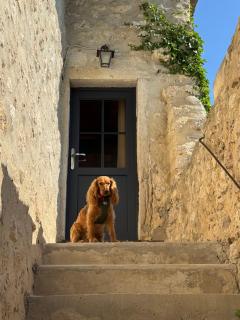 La Bugadière - 9