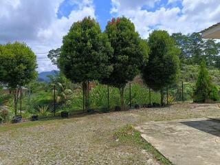 Steffan Family Stay SFS - Kuching - 3