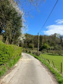 Cockerdale Lodges - - 9