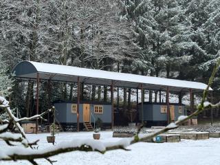 Cockerdale Lodges - - 8