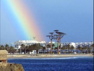 Arcoiris - La Pineda - 0