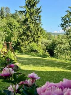 Bieszczady Beztroska Chata - Mchawa - 2