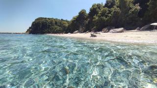 Erato's Nest - Pelion - Pilion - 7