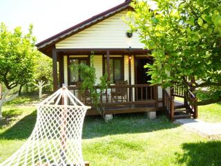 İztuzu Bungalow & Camping - Ortaca - 8