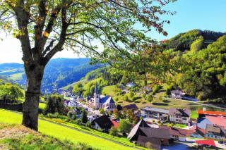 Apartment Sonnenglück im Schwarzwald with Panoramaview, Terrace, 3 Bedrooms - Bad Peterstal-Griesbach - 8