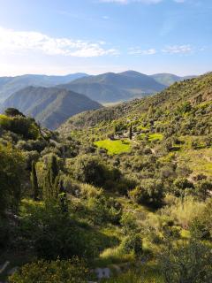 Casa Limón - Alpujarras - Órgiva - 6